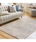 Surya Rosario ROA-2304 10  x 14  Rug