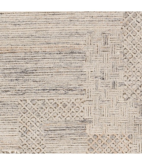Surya Rosario ROA-2304 10  x 14  Rug