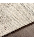 Surya Rosario ROA-2304 10  x 14  Rug