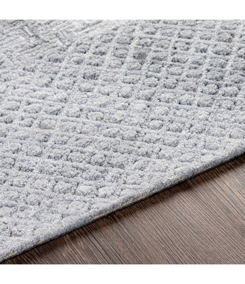 Surya Rosario ROA-2305 10  x 14  Rug