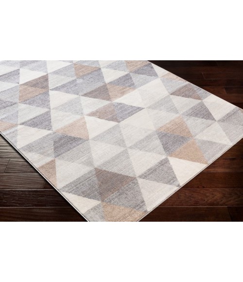 Livabliss Roma ROM-2303 Area Rug