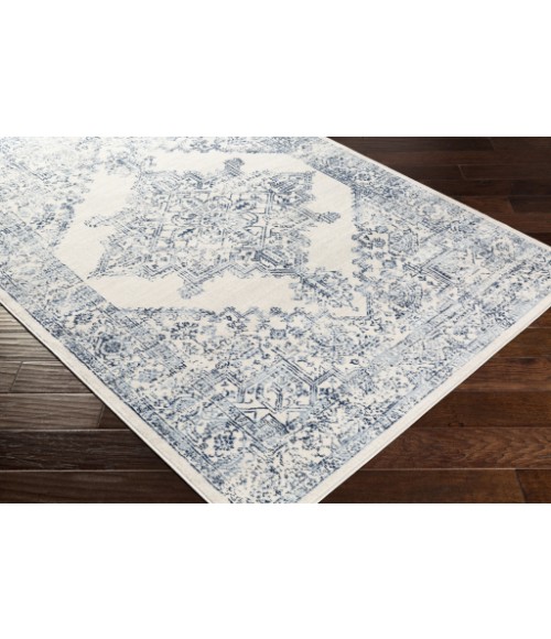 Livabliss Roma ROM-2323 9  x 12 3 Rug