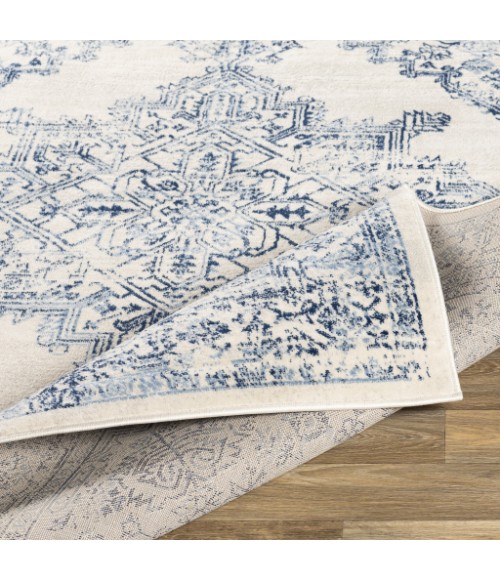 Livabliss Roma ROM-2323 9  x 12 3 Rug