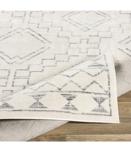 ROMA RUG Surya Roma ROM-2331 6 7 x 9 Rug