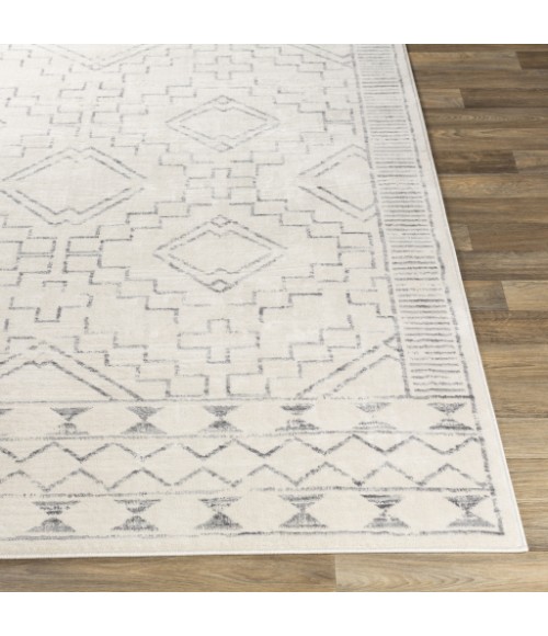 ROMA RUG Surya Roma ROM-2331 6 7 x 9 Rug