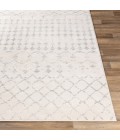 Surya Roma ROM-2343 Area Rug