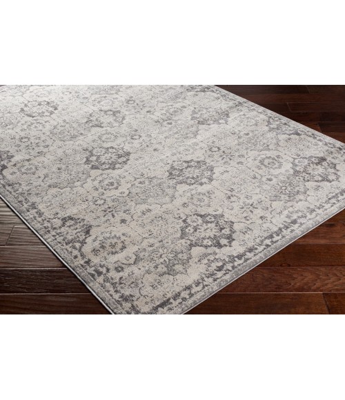 Surya Roma ROM-2366 9  x 12 3 Rug
