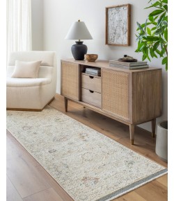 Livabliss Rivaldo RVD2305 Taupe Light Grey Area Rug 2 ft. 7 in. X 10 ft. Runner