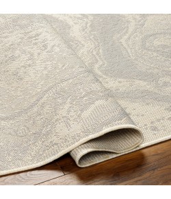 Livabliss Ravello RVL2343 Light Grey Taupe Area Rug 5 ft. 3 in. X 7 ft. Rectangle