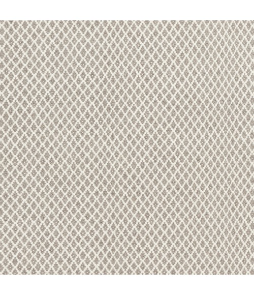 Surya Ravena RVN-3003-2x3 rug