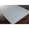 Surya Ravena RVN3115 Sky Blue Light Gray Area Rug 2 ft. X 3 ft. Rectangle