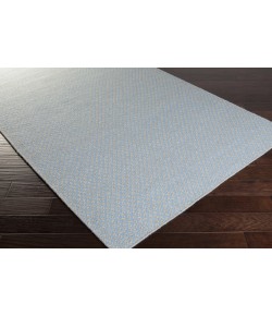 Surya Ravena RVN3115 Sky Blue Light Gray Area Rug 2 ft. X 3 ft. Rectangle