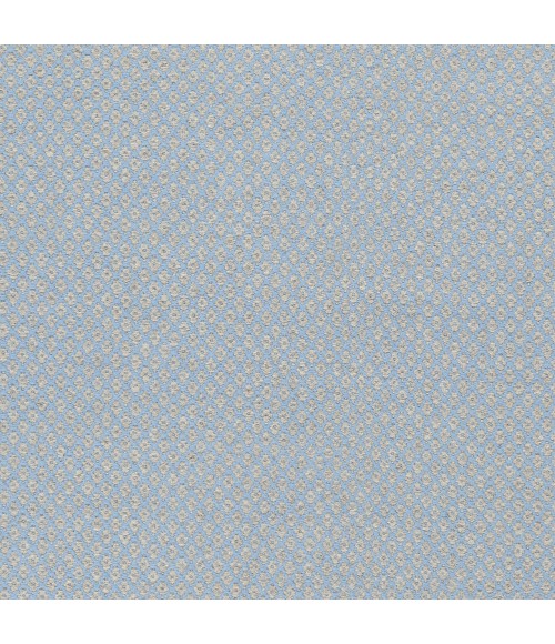 Surya Ravena RVN-3115-2x3 rug