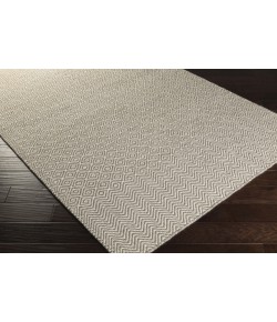 Surya Ravena RVN3135 Light Gray Beige Area Rug 2 ft. X 3 ft. Rectangle