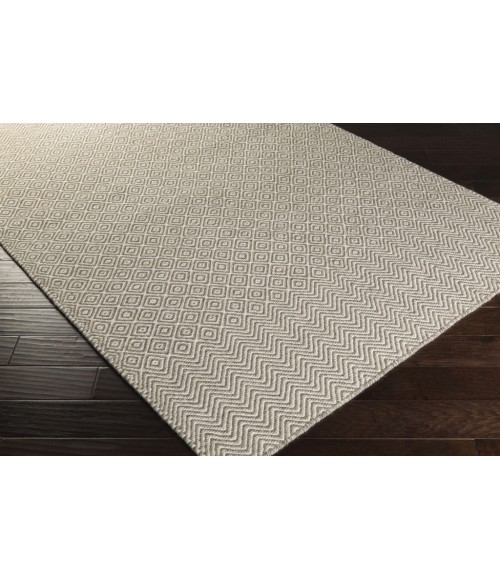 RAVENA RUG Surya Ravena RVN-3135-2x3 rug