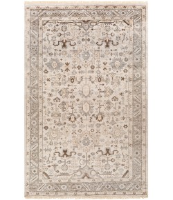 Surya Sabine SBN1001 Light Gray Khaki Area Rug 2 ft. X 3 ft. Rectangle