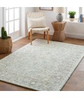 Surya Shelby SBY-1002-2x3 rug