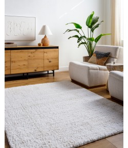 Livabliss Sacramento Shag SCS-2300 5 ft.3 in. x 7 ft. Rectangle Rug