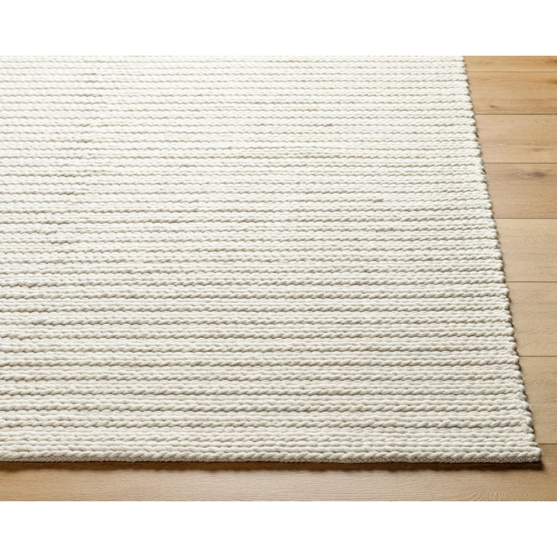 Surya Sundance Rug SDC2302