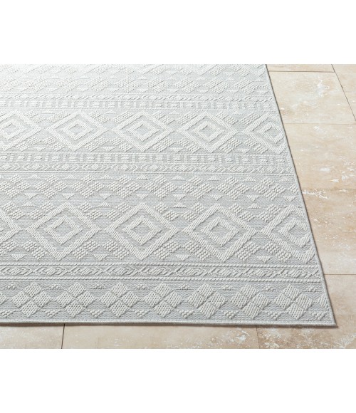 Sandra SDR-2310 Rug Sandra SDR-2310 67" x 9 Machine Woven Rug