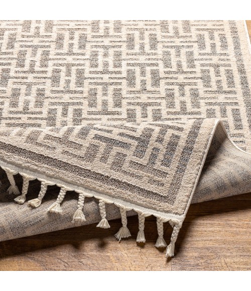 Sofia Area Rug Surya Sofia SFA-2306 9'2" x 12' Rug