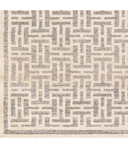 Sofia Area Rug Surya Sofia SFA-2306 9'2" x 12' Rug