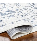 Livabliss San Diego Rug SFG2333