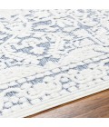 Livabliss San Diego Rug SFG2333