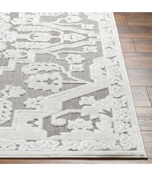 Livabliss San Diego Rug SFG2340