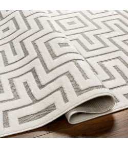 Livabliss San Diego SFG2347 Light Grey Grey Area Rug 5 ft. 3 in. X 7 ft. Rectangle