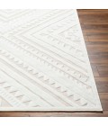 Livabliss San Diego Rug SFG2353