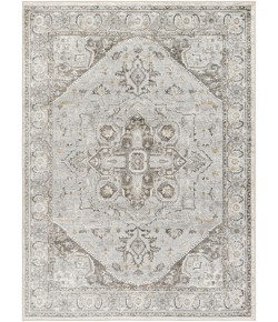 Surya San Francisco SFO2327 Light Grey Taupe Area Rug 7 ft. 10 in. X 10 ft. Rectangle