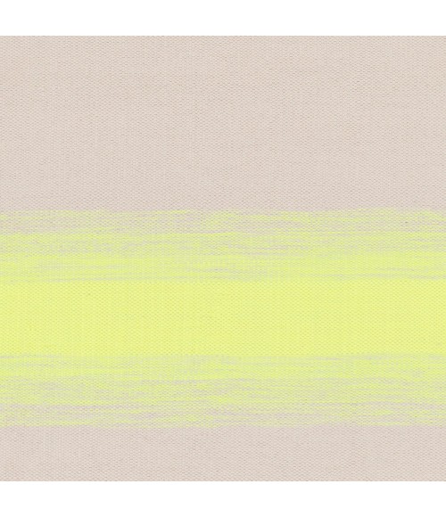 Surya Shine SHN-2002-5x8 rug