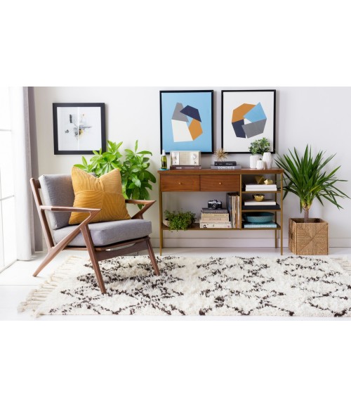 Surya Sherpa SHP-8000-26x8 rug