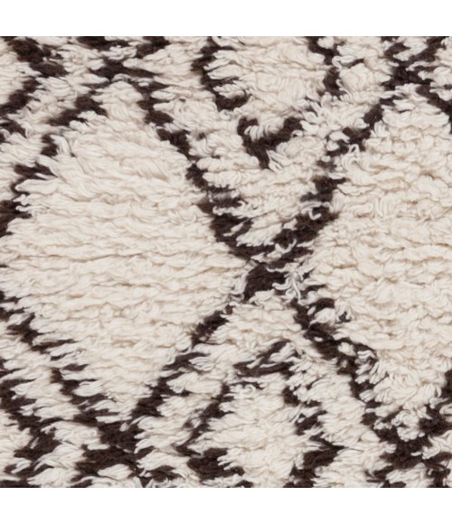 Surya Sherpa SHP-8000-2x3 rug