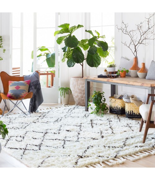 SHERPA RUG Surya Sherpa SHP-8001-8x10 rug