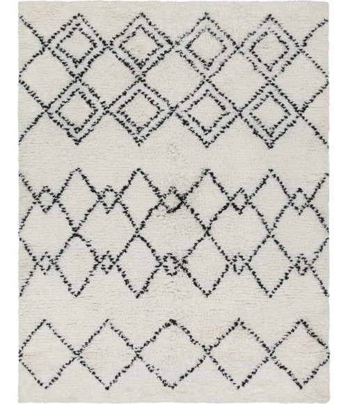 SHERPA RUG Surya Sherpa SHP-8002-2x3 rug