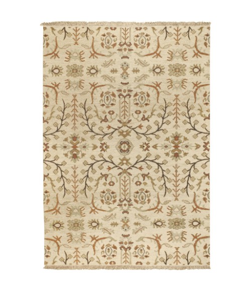 Surya Sonoma SNM-9002-4x6 rug