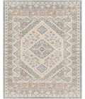 Livabliss Santana Rug SNN2302