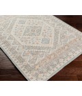 Livabliss Santana Rug SNN2302