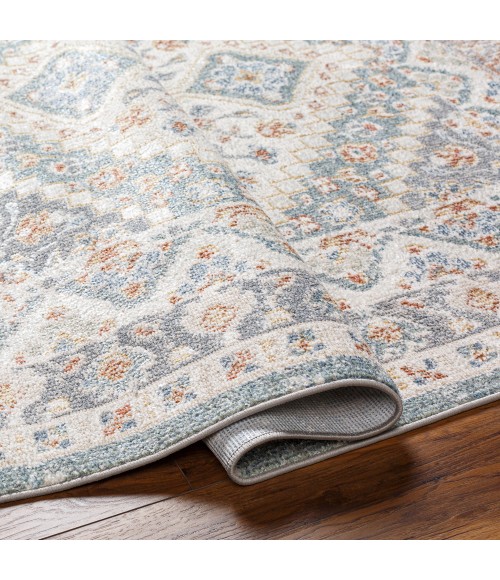 Livabliss Santana Rug SNN2302