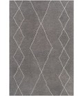 SINOP RUG Surya Sinop SNP-2307 Area Rug