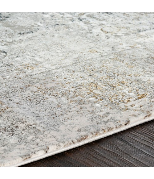 Surya Solar SOR-2305 3  x 5  Rug
