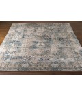 Surya Solar SOR-2307 6'7" x 9'6" Rug