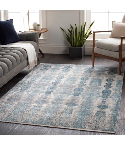 Surya Solar SOR2312 Medium Gray Aqua Area Rug 3 ft. X 9 ft. 10 in. Runner