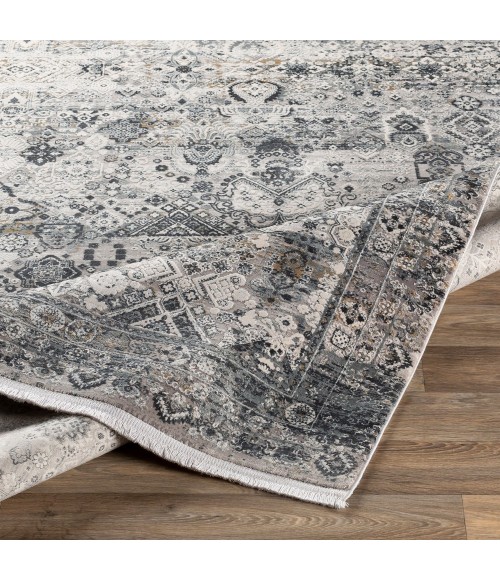 Surya Solar SOR-2313 10  x 14  Rug