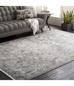 Surya Solar SOR2313 Medium Gray Light Gray Area Rug 3 ft. X 9 ft. 10 in. Runner