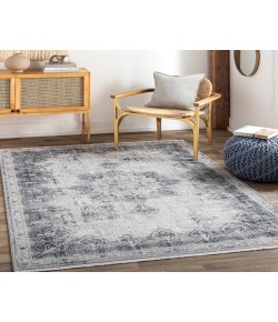 Surya Solar SOR2315 Medium Gray Light Gray Area Rug 10 ft. X 14 ft. Rectangle