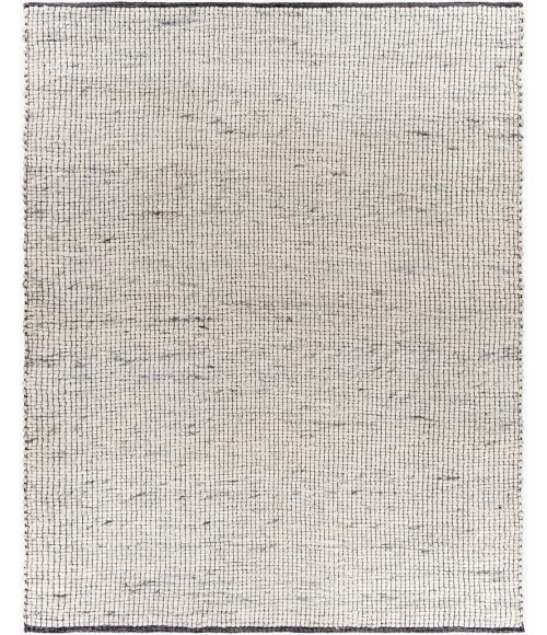 Surya Sierra Cream SRR-2301 2 ft. X 3 ft. Rect. Rug