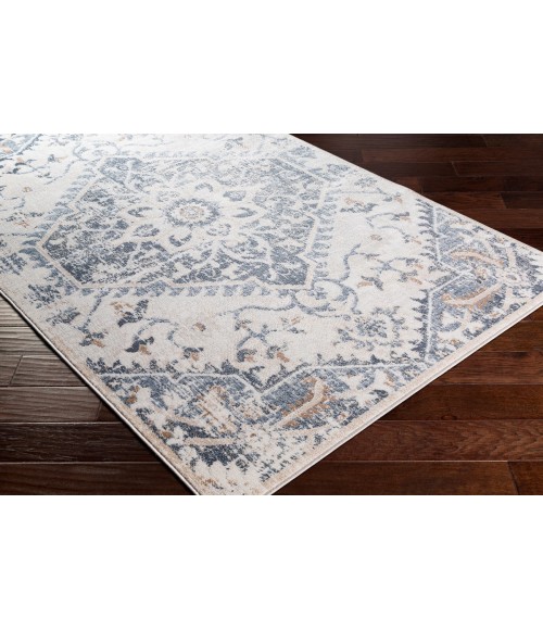Livabliss St tropez SRZ-2300 7 9 x 9 6 Rug